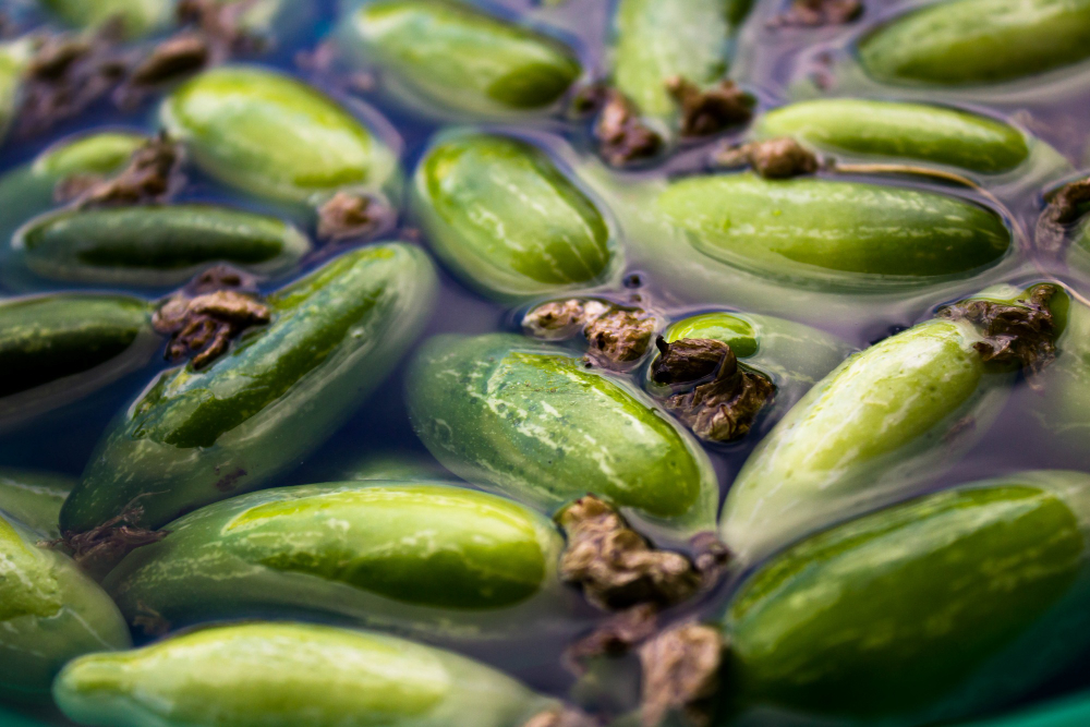 Ivy Gourd Benefits for Diabetes: A Healthy Choice for Blood Sugar Control