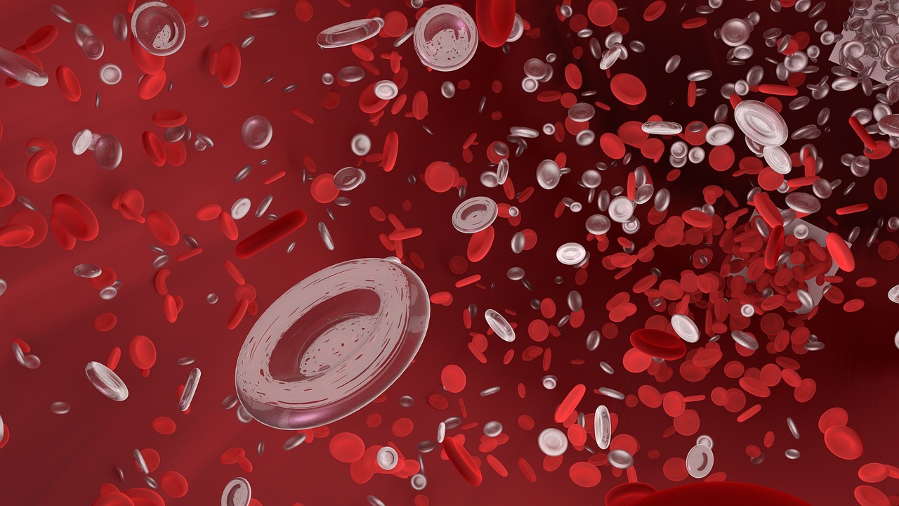 Unlocking Heart Health: The Best Blood Vessel Cleansing Herbs for a Healthier Life
