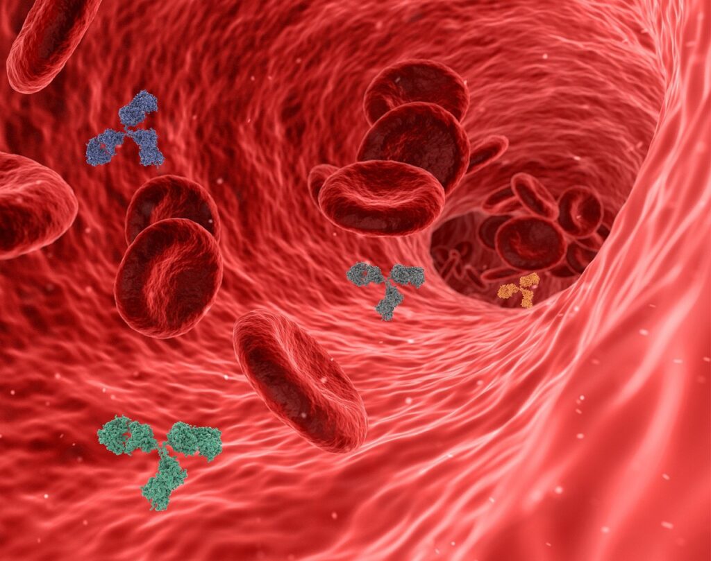 Natural detox for blood
