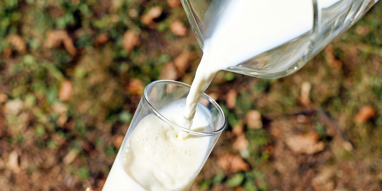 Best Time to Drink Buttermilk for Maximum Health Benefits