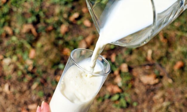 Best Time to Drink Buttermilk for Maximum Health Benefits