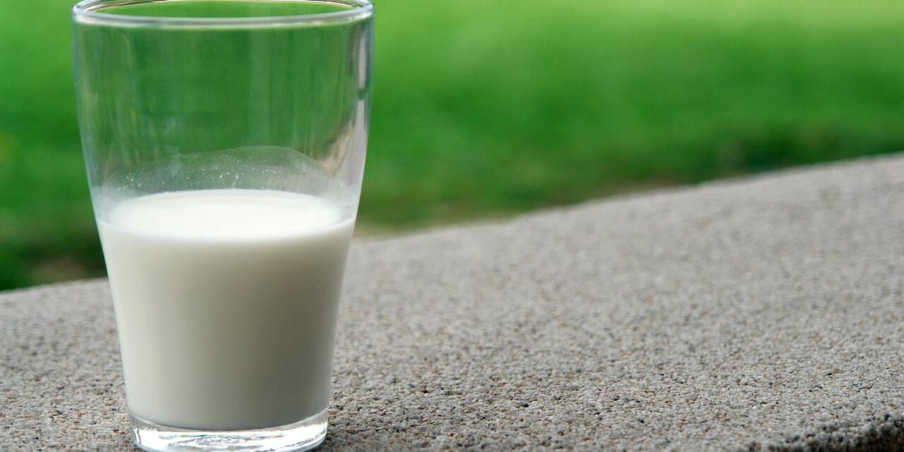 Best Time to Drink Milk According to Ayurveda