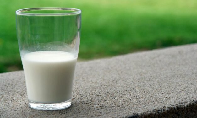 Best Time to Drink Milk According to Ayurveda